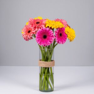 Gerberas